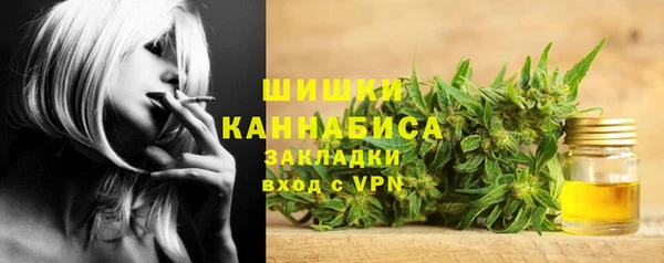 винт Алексин
