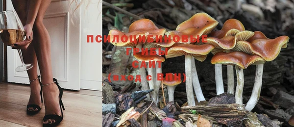 каннабис Пересвет