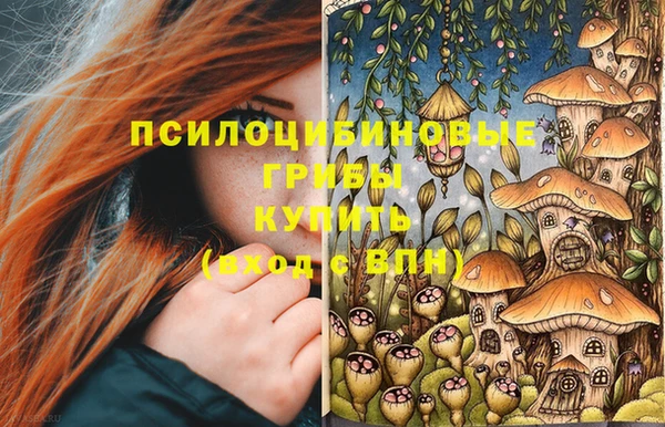 винт Алексин