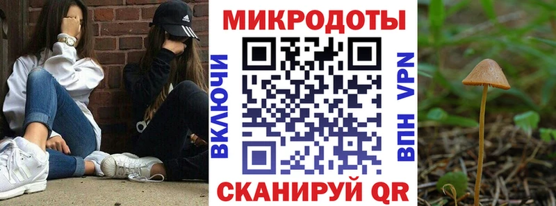 Галлюциногенные грибы прущие грибы  Шенкурск 