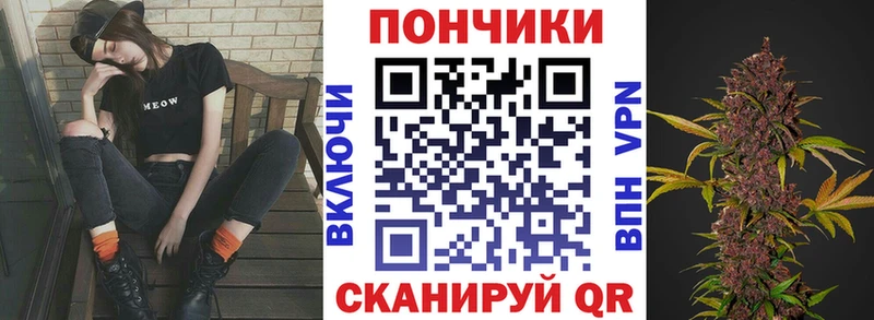 Конопля OG Kush  закладки  Шенкурск 